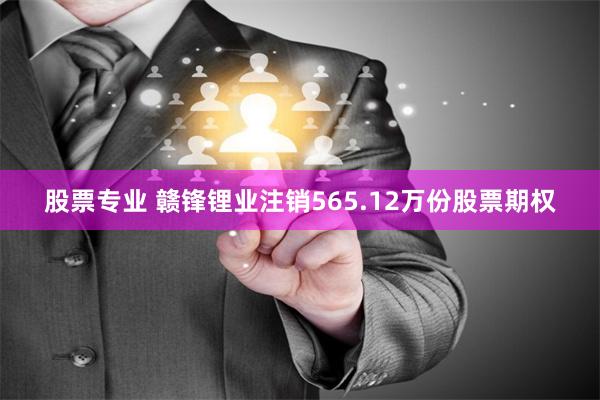 股票专业 赣锋锂业注销565.12万份股票期权