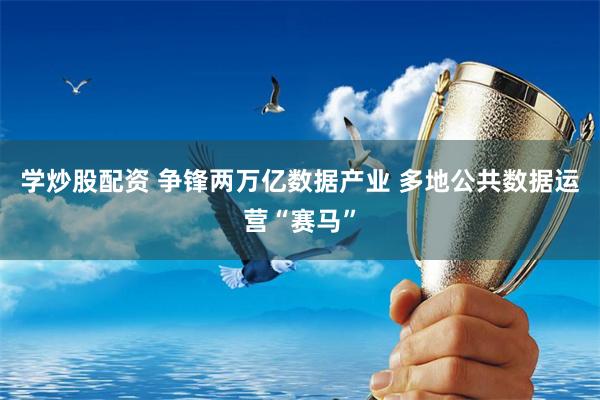 学炒股配资 争锋两万亿数据产业 多地公共数据运营“赛马”