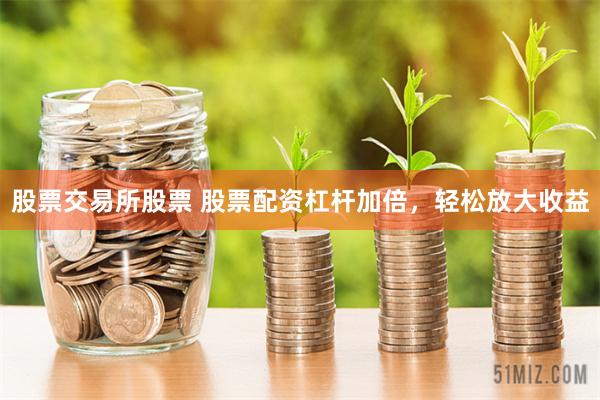 股票交易所股票 股票配资杠杆加倍，轻松放大收益