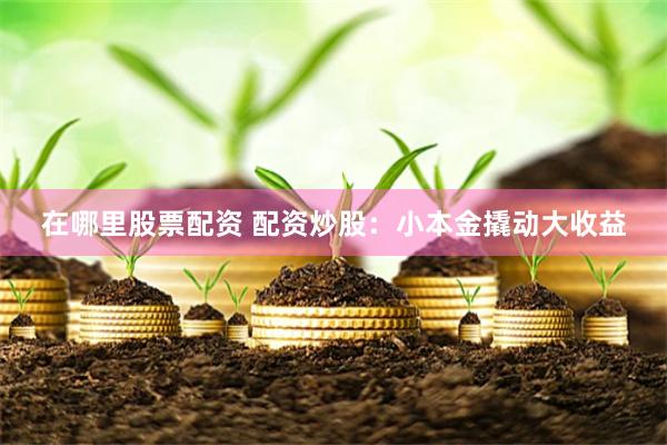 在哪里股票配资 配资炒股：小本金撬动大收益